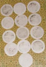 Пылесос Kirby фото