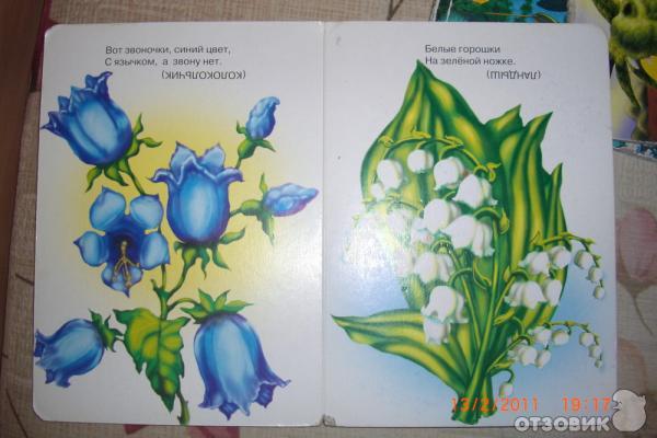 Еще Загадки о цветах