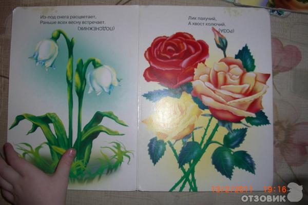 Загадки о цветах