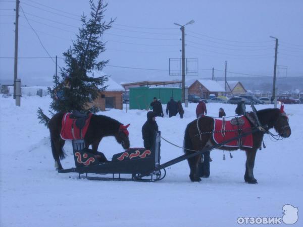 коняшки