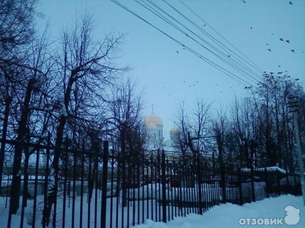 Купола Приаброженского собора.
