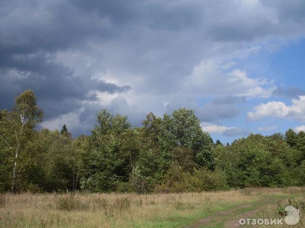 Санаторий Зеленый город (Россия, Нижегородская область) фото