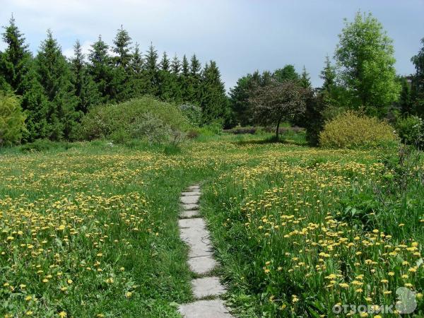 Ботанический сад УрО РАН (Россия, Екатеринбург) фото