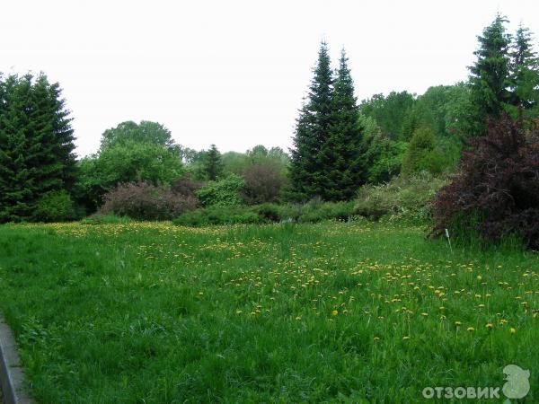 Ботанический сад УрО РАН (Россия, Екатеринбург) фото