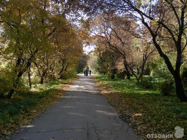 Ботанический сад УрО РАН (Россия, Екатеринбург) фото