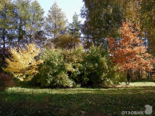 Ботанический сад УрО РАН (Россия, Екатеринбург) фото