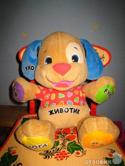 Умный щенок фото