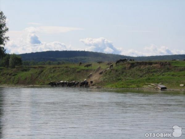 Сплав по реке Чусовой фото