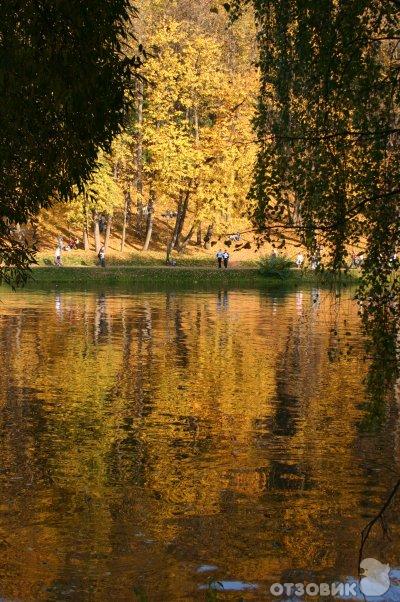 Музей-заповедник Царицыно (Россия, Москва) фото