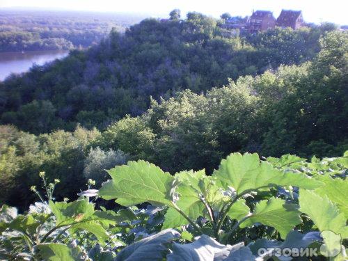 Памятник Салавату Юлаеву в Уфе, и парк рядом с ним фото