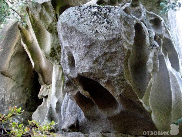 Село Чистоводное Парк Драконов фото