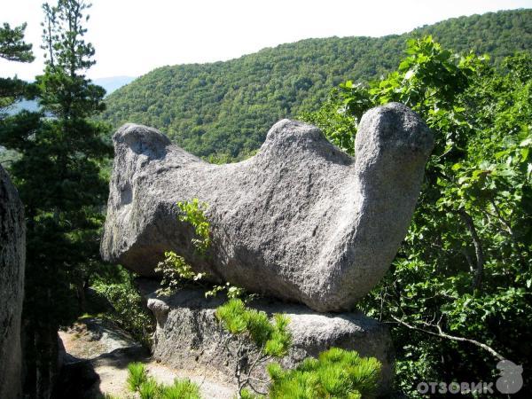 Село Чистоводное Парк Драконов фото