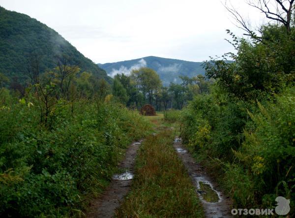 Село Чистоводное Парк Драконов фото
