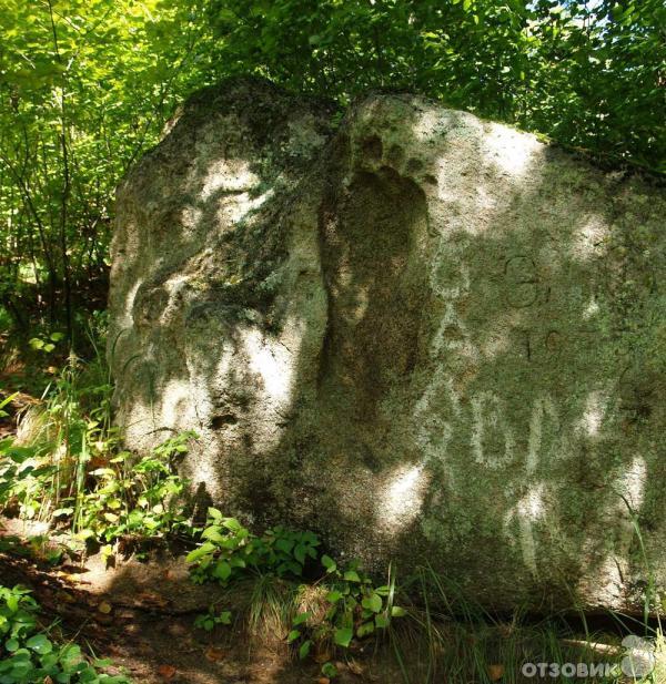 Село Чистоводное Парк Драконов фото