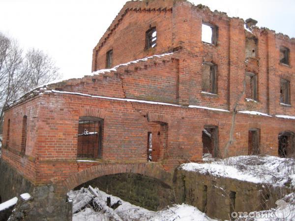Водяная мельница (Республика Беларусь, Витебская область, деревня Каменно-Кривое) фото