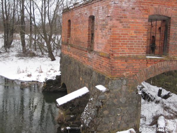 Водяная мельница (Республика Беларусь, Витебская область, деревня Каменно-Кривое) фото