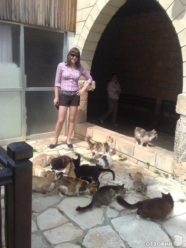 Кошачий монастырь или монастырь Святого Николая, Кипр фото