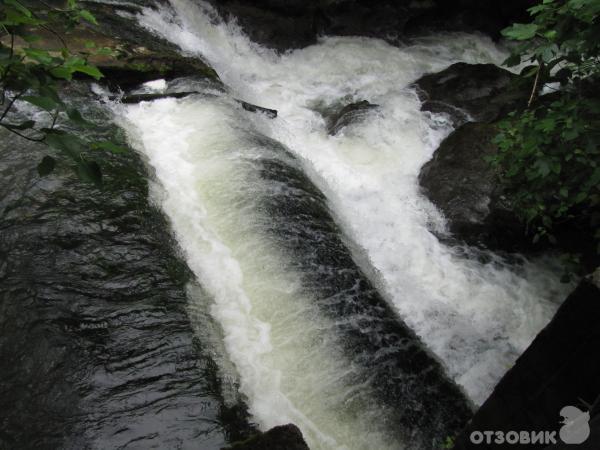 Ресторан Ассир фото