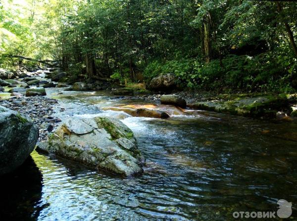Парк Драконов села Чистоводное (Россия, Приморский край) фото