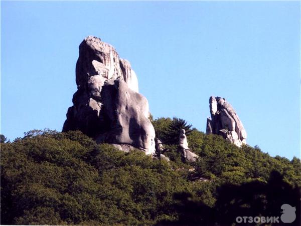 Парк Драконов села Чистоводное (Россия, Приморский край) фото