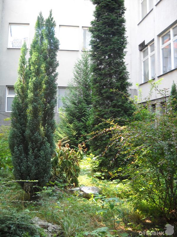 старшеклассники