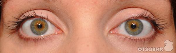 Средство для роста ресниц XLash фото