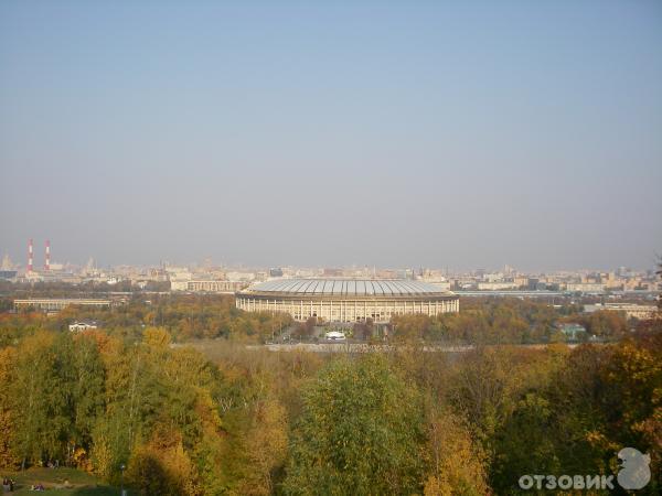 природный заказник воробьевы горы фото