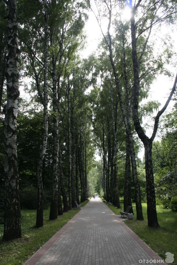 Ботанический сад (оранжерея тропических растений) (Белоруссия, Минск) фото