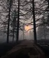 Аноним36538