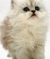 Lubachka