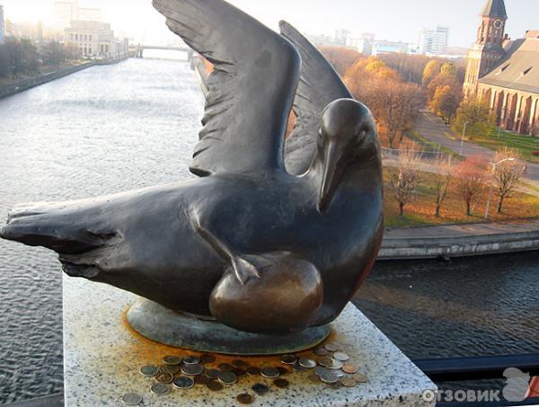 Видовая башня Маяк в ЭТРЦ Рыбная деревня (Россия, Калининград) фото