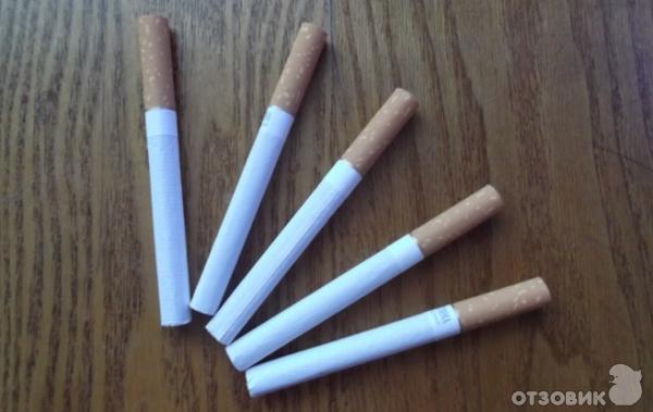 Моль:откуда берется и как с ней бороться фото