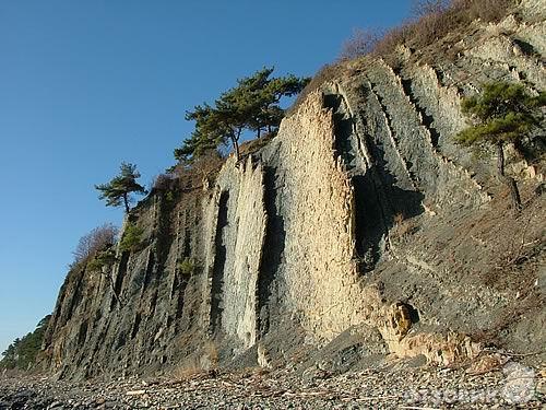 Хутор Бетта Краснодарский Край Купить