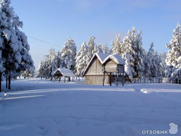 Город Муравленко (Россия, Ямало-Ненецкий АО) фото