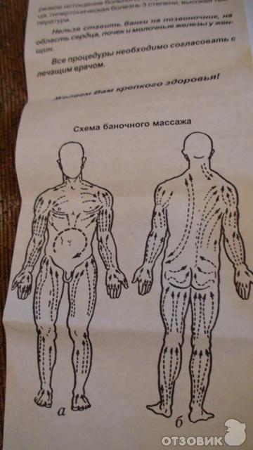 Линии массажа живота. Вакуумный массаж банками схема движения. Антицеллюлитный баночный массаж массажные линии. Линии массажа вакуумными банками. Массажные линии для вакуумной банки.