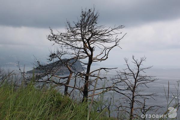 Республика Черногория фото