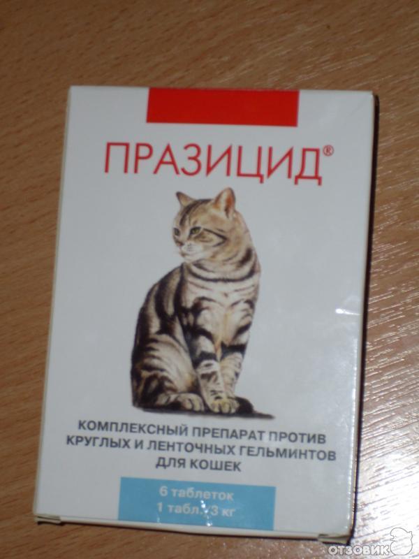 Таблетки празицид для кошек