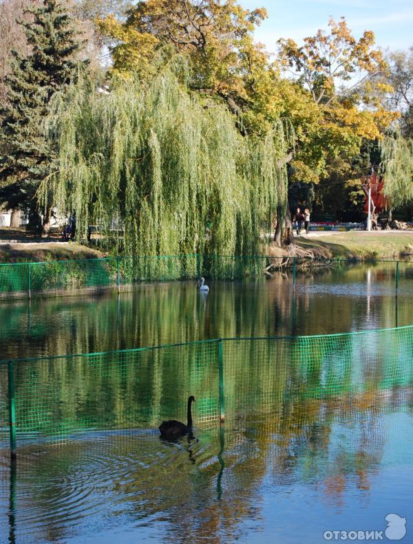 Фото Городского Парка Саратова