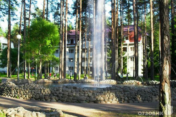 Отель Райвола (Россия, Санкт-Петербург) фото