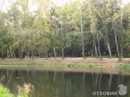 Харитоновский сад (Парк Пионеров) (Россия, Екатеринбург) фото