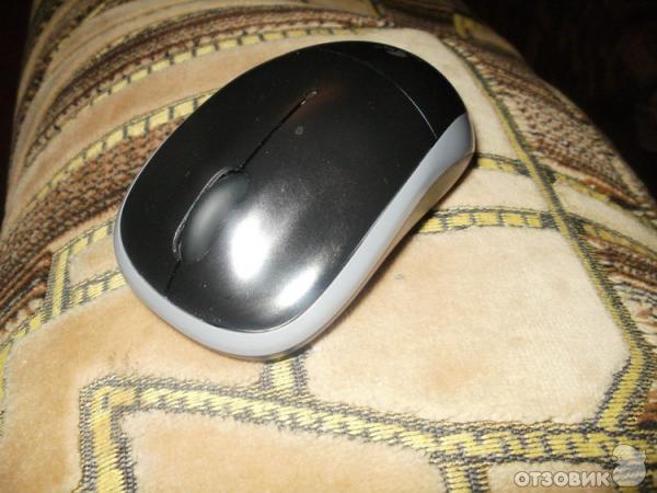 Мышь Logitech Wireless Mouse M215 фото