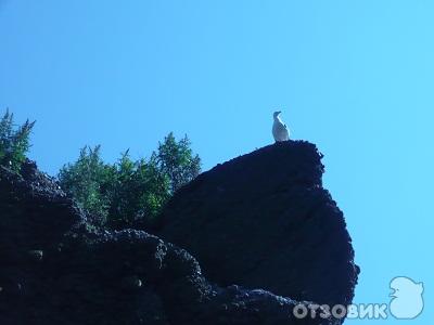 Город Петропавловск-Камчатский (Россия, Камчатская область) фото