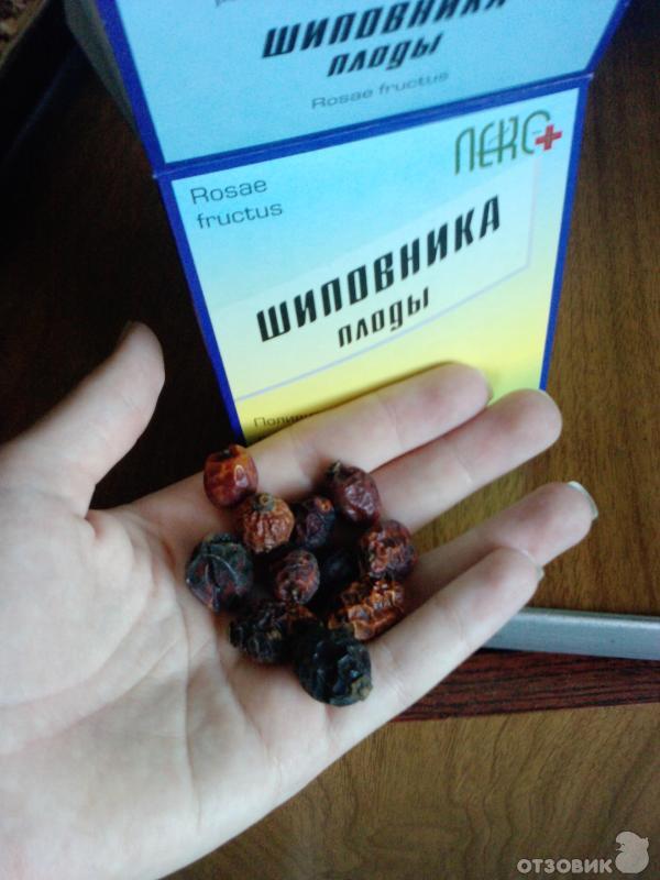 Купить Шиповник В Аптеке Можно