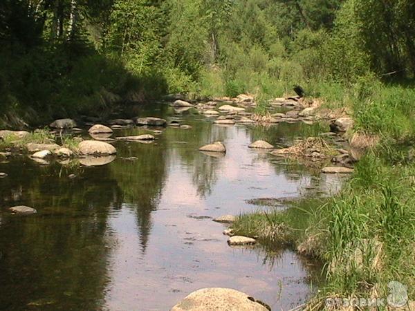 Забайкальский край. Петровск-Забайкальский район. Река Унго.