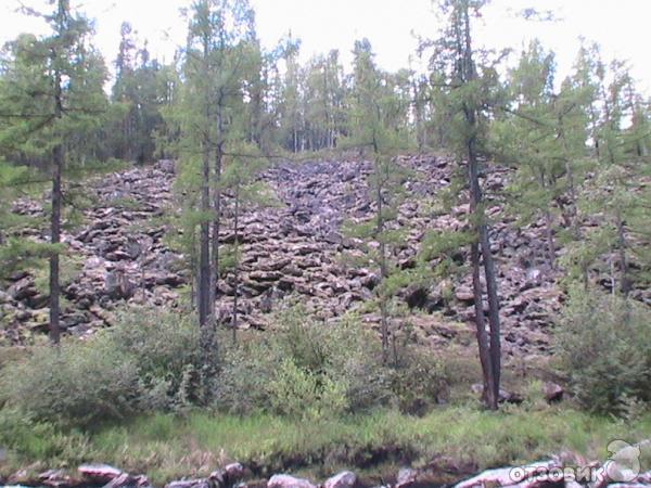 Река Унго Забайкальский край фото