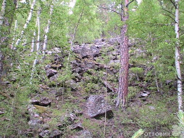 Река Унго Забайкальский край фото