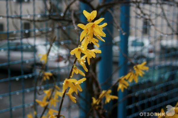 Черногория весной. фото