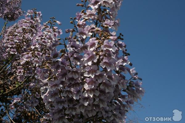 Черногория весной. фото