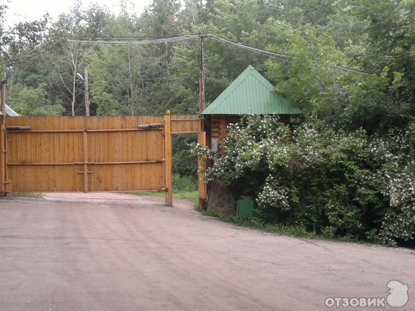 Лесная крепость фото