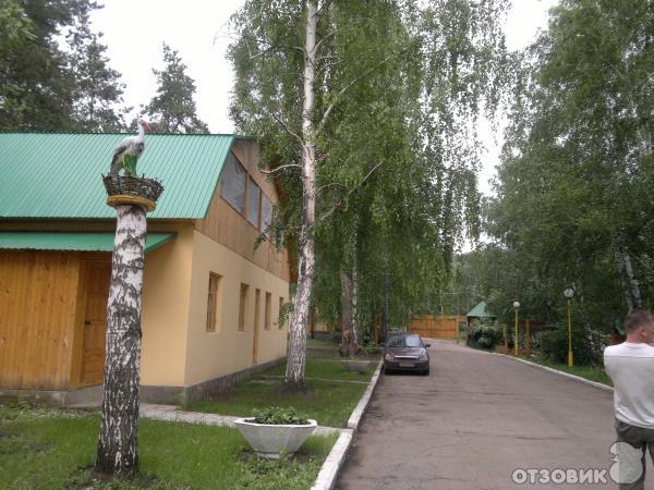 Лесная крепость фото